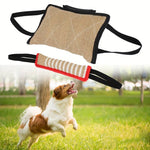 DogGrip | Ultimate Chew Cushions for Dogs