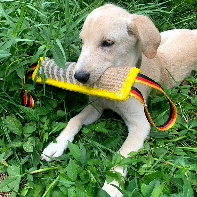 DogGrip | Ultimate Chew Cushions for Dogs