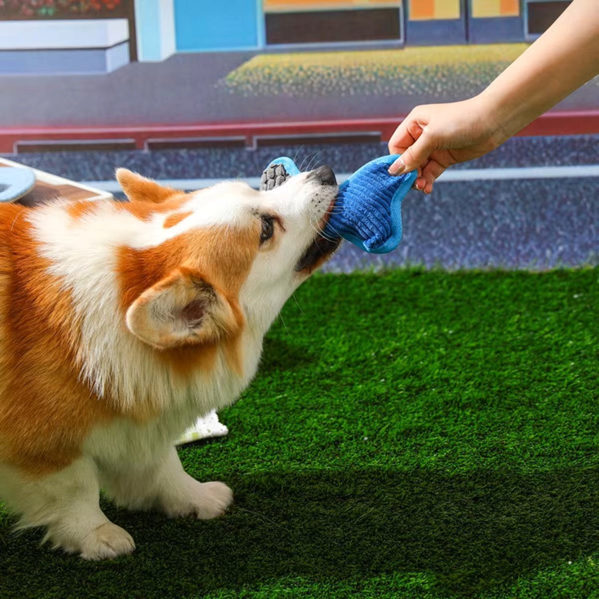 Doggle | Plush dog toy with squeaker