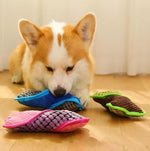 Doggle | Plush dog toy with squeaker