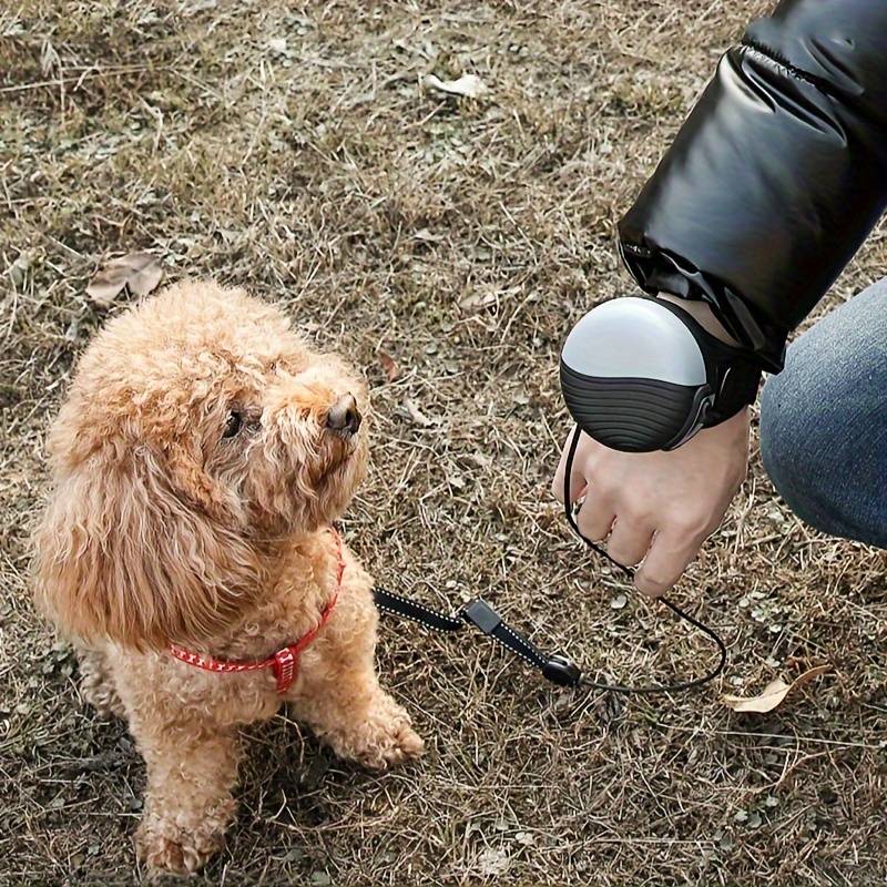 DogiWalk | Flexible Dog Leashes with Hands-Free Function