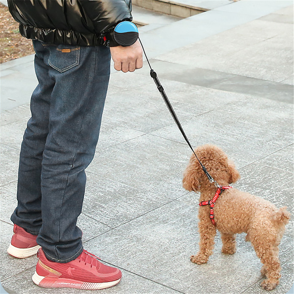 DogiWalk | Flexible Dog Leashes with Hands-Free Function