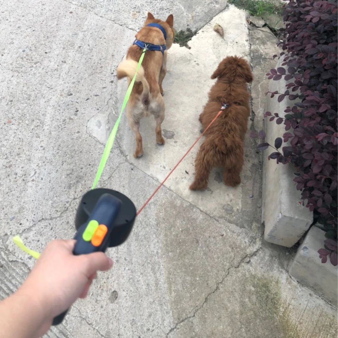 Dual Retractable Dog Leash | With Flashlight and Poop Bag Holder
