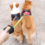 DoubleDog - Tangle-free double leash system with flashlight