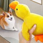 DuckyDazzle | The perfect companion against boredom and stress