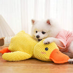 DuckyDazzle | The perfect companion against boredom and stress