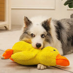 DuckyDazzle | The perfect companion against boredom and stress