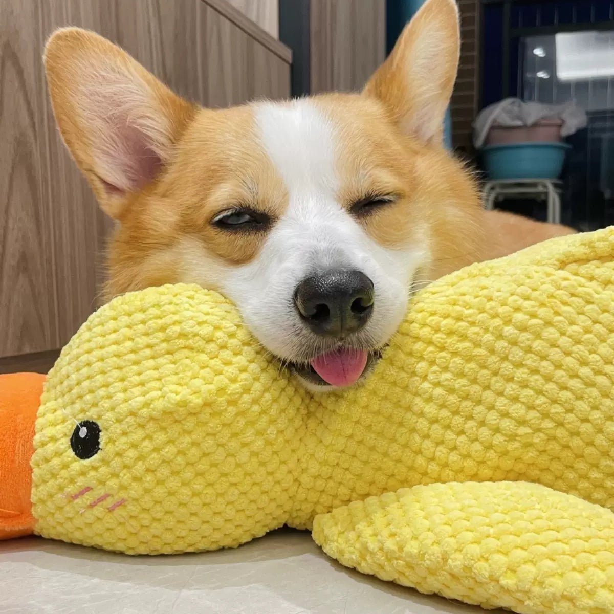 DuckyDazzle | The perfect companion against boredom and stress