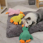 DuckyDazzle | The perfect companion against boredom and stress