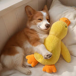 DuckyDazzle | The perfect companion against boredom and stress