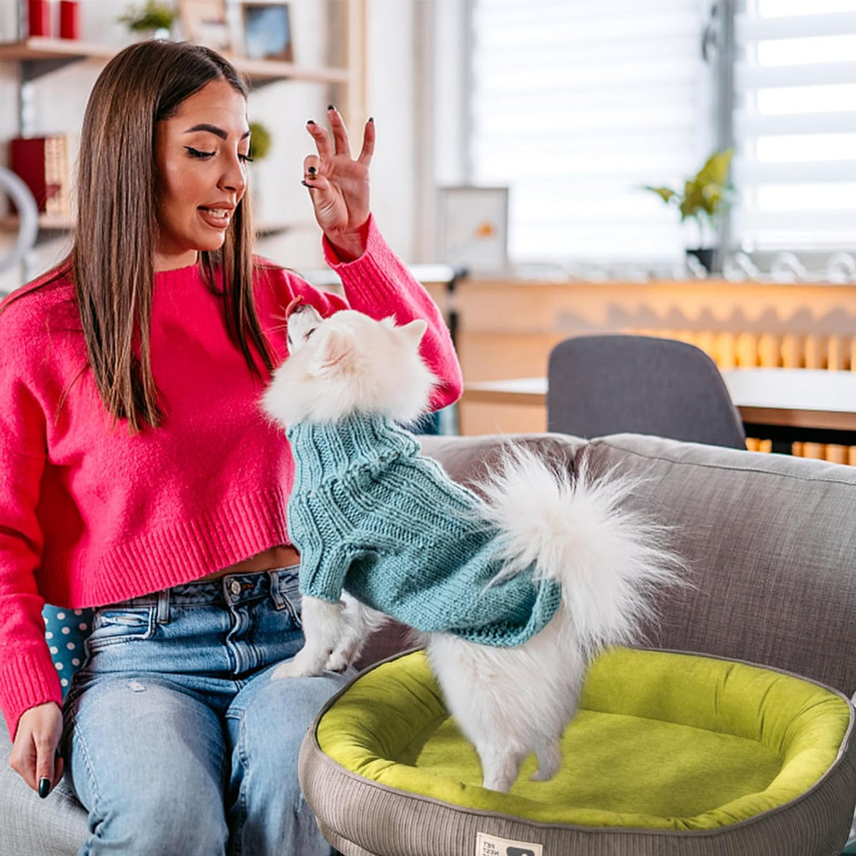 DuraPaws | A Paradise for Cuddly Paws