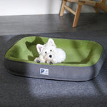 DuraPaws | A Paradise for Cuddly Paws