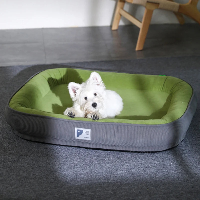 DuraPaws | A Paradise for Cuddly Paws