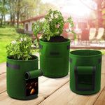 Practical Potato Grow Bag
