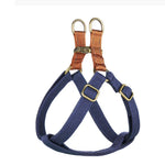 EasyPaws | Breathable Comfort for Relaxed Walks