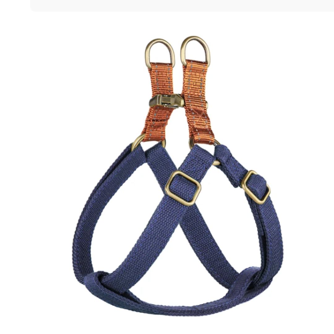 EasyPaws | Breathable Comfort for Relaxed Walks