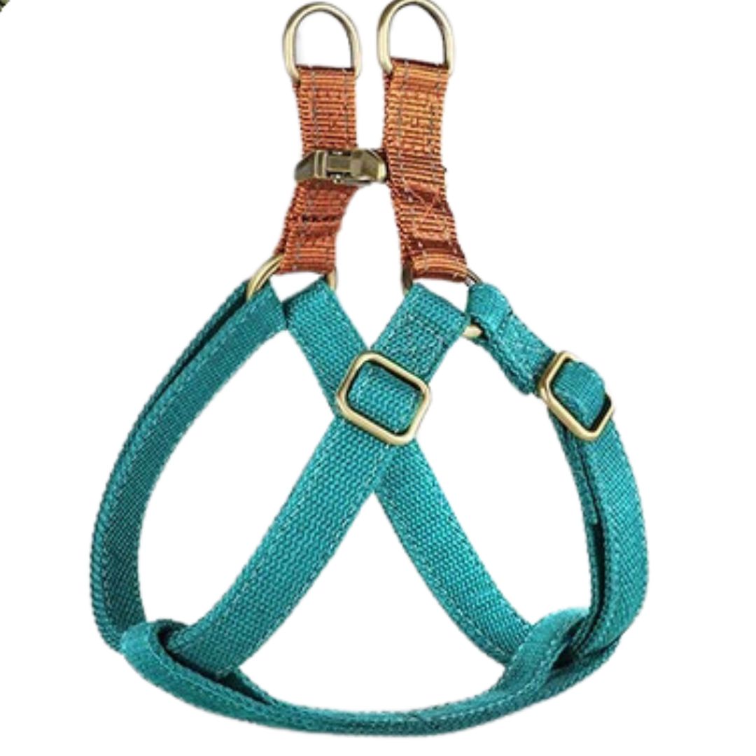 EasyPaws | Breathable Comfort for Relaxed Walks