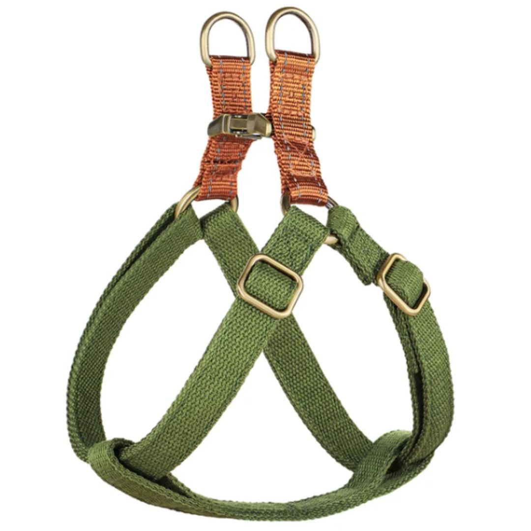 EasyPaws | Breathable Comfort for Relaxed Walks