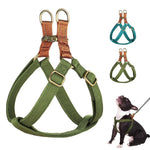 EasyPaws | Breathable Comfort for Relaxed Walks