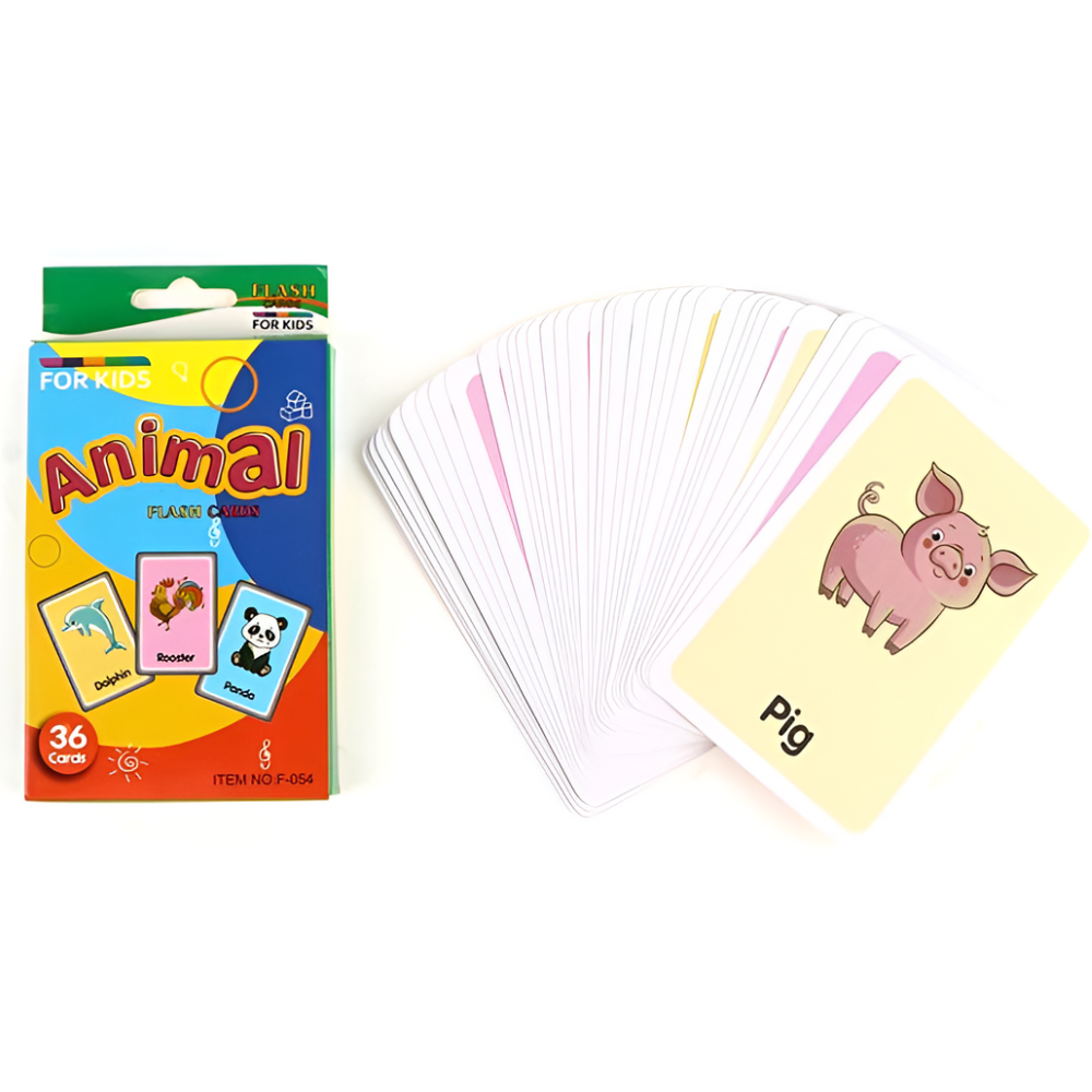 Discovery Flashcards for Kids