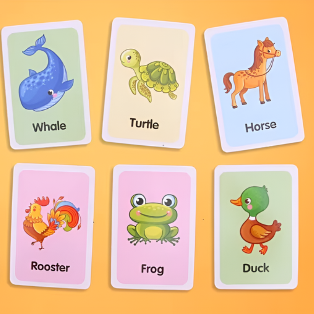 Discovery Flashcards for Kids