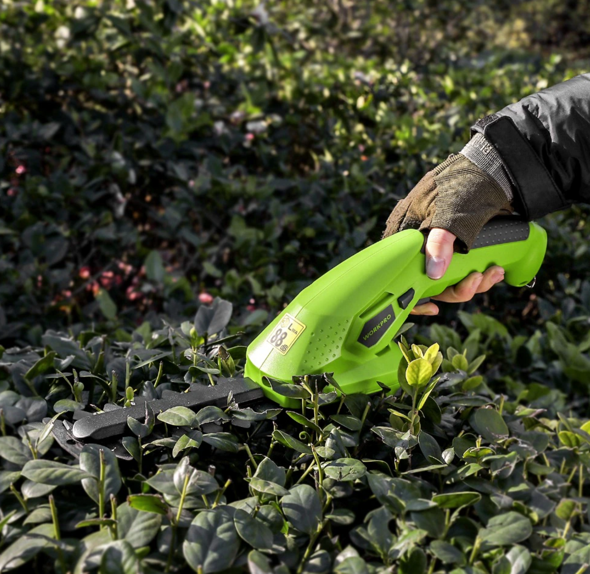 Cordless Hedge Trimmer: Efficient Trimming in Record Time