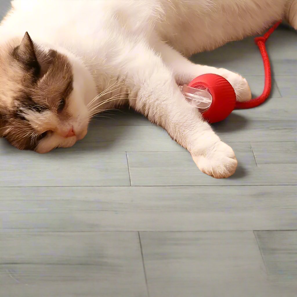 ElectroSpin | Interactive Play Ball for Active Pets