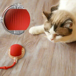 ElectroSpin | Interactive Play Ball for Active Pets