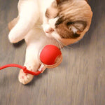 ElectroSpin | Interactive Play Ball for Active Pets