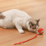 ElectroSpin | Interactive Play Ball for Active Pets