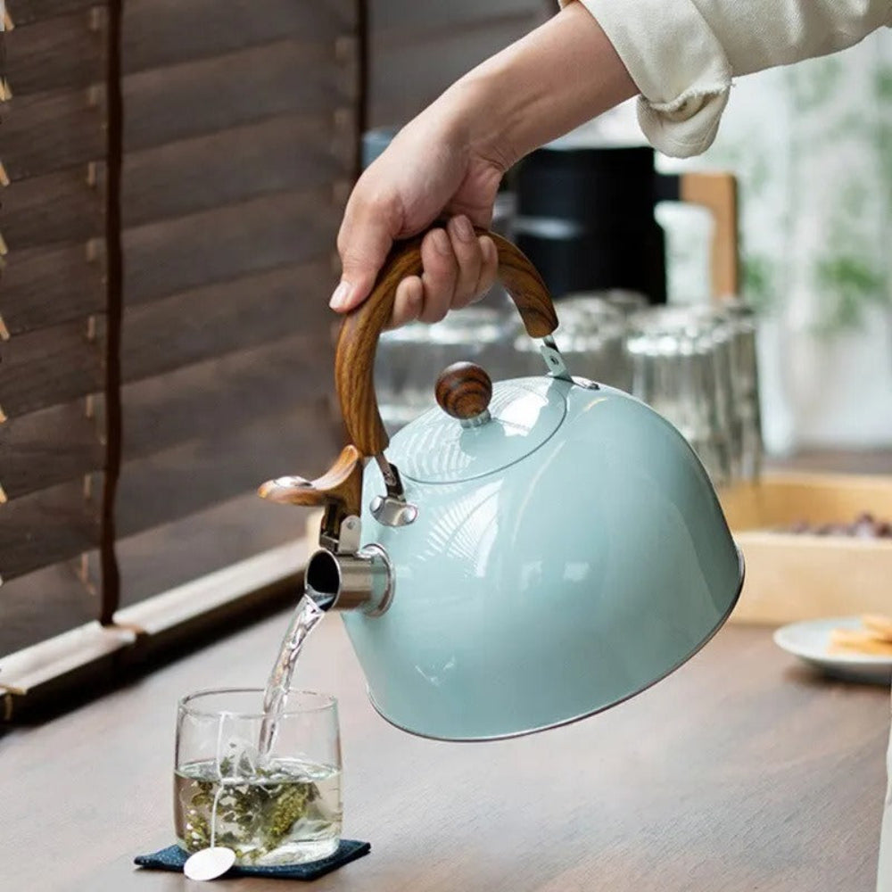 Stylish Stainless Steel Kettle with Whistle – Rapid Heating