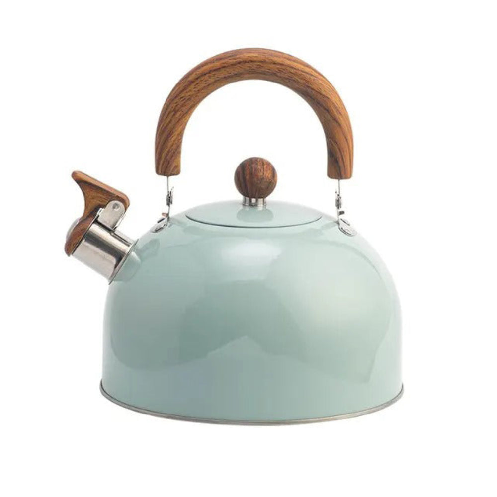 Stylish Stainless Steel Kettle with Whistle – Rapid Heating