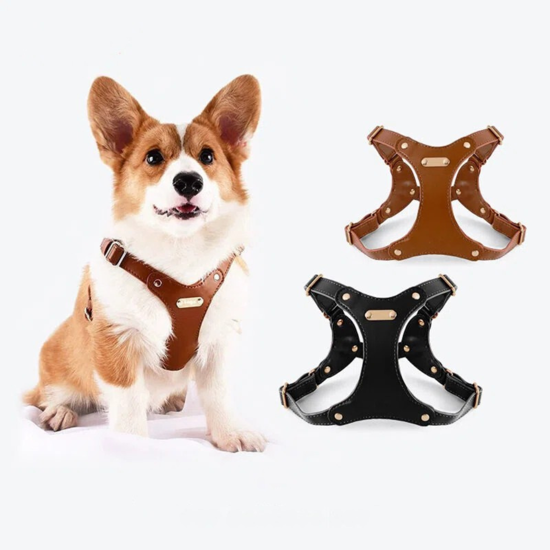 Verstellbares Hundegeschirr aus Leder mit individueller Gravur