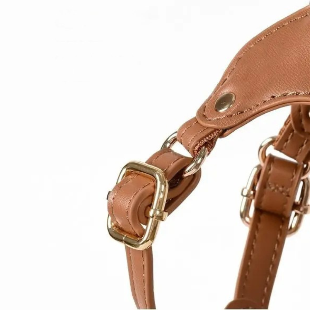 Verstellbares Hundegeschirr aus Leder mit individueller Gravur
