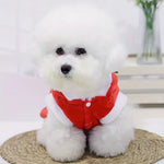 Elfie | Give your pet a warm winter and festive days