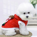 Elfie | Give your pet a warm winter and festive days