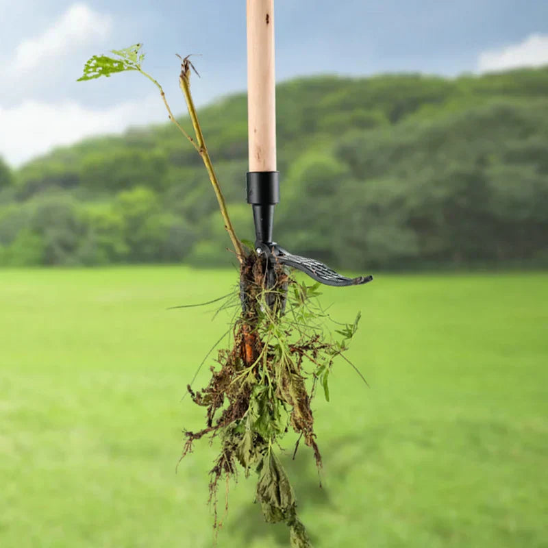 ErgoWeed - The essential tool for weed removal