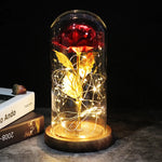 Eternal Rose with Light | A Timeless Gift of Warmth and Love