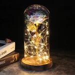 Eternal Rose with Light | A Timeless Gift of Warmth and Love