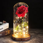 Eternal Rose with Light | A Timeless Gift of Warmth and Love