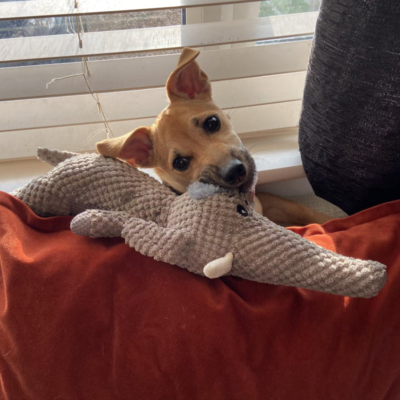 HundeSpaß | Robustes Kauspielzeug aus Denim für Hunde