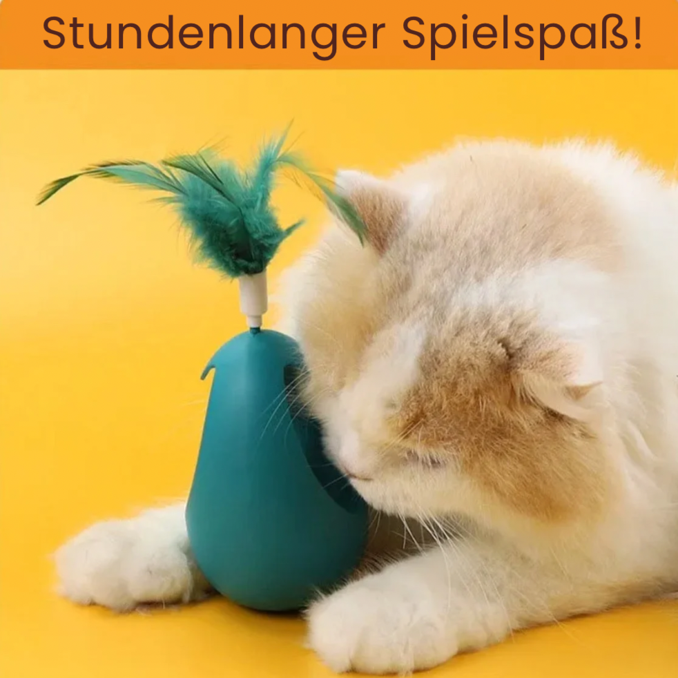 Interaktives Katzenminze-Spielzeug für gesunde Aktivitäten