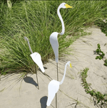 Flamingoz | Vibrant Bird