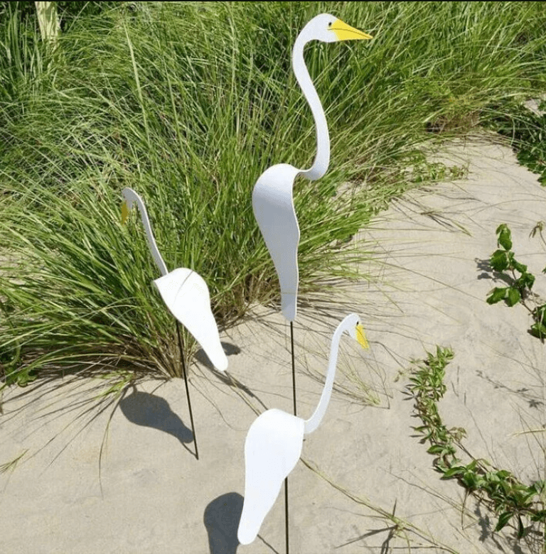 Flamingoz | Vibrant Bird