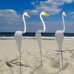 Flamingoz | Vibrant Bird