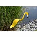 Flamingoz | Vibrant Bird