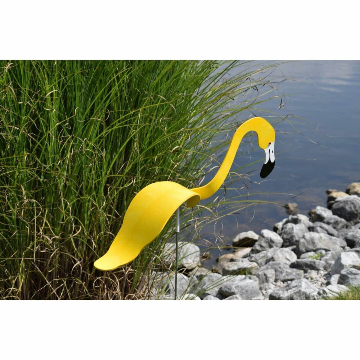 Flamingoz | Vibrant Bird
