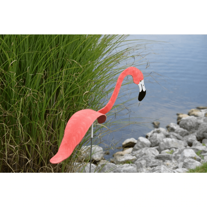 Flamingoz | Vibrant Bird