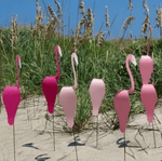 Flamingoz | Vibrant Bird