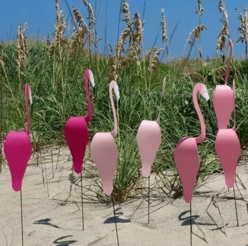 Flamingoz | Vibrant Bird